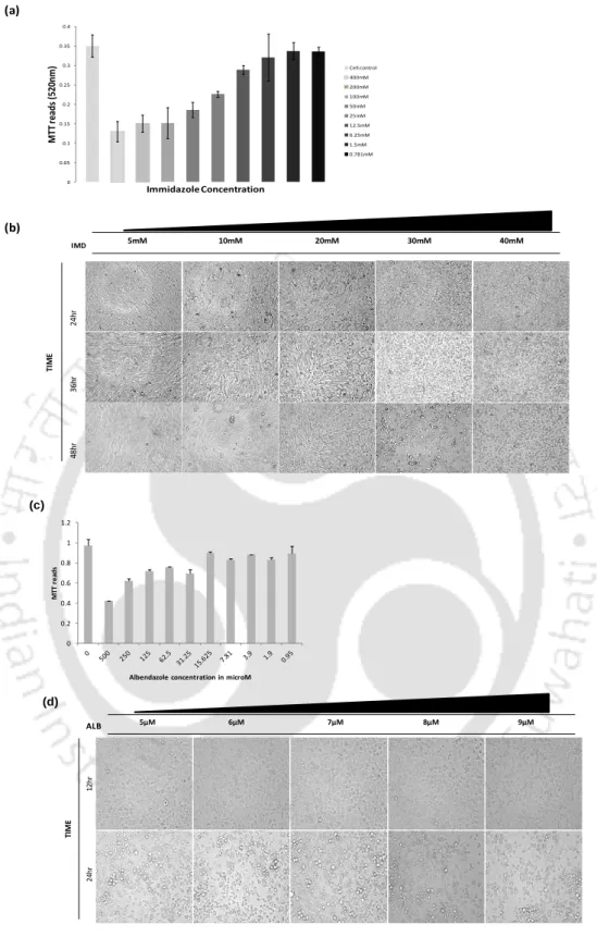 Figure 5.1. Toxicity assay for imidazole in CEF cells. Graph representing the determination of 50% 