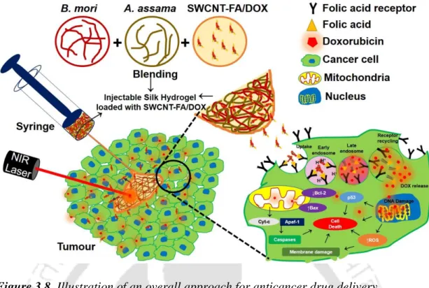 Figure 3.8. Illustration of an overall approach for anticancer drug delivery. 