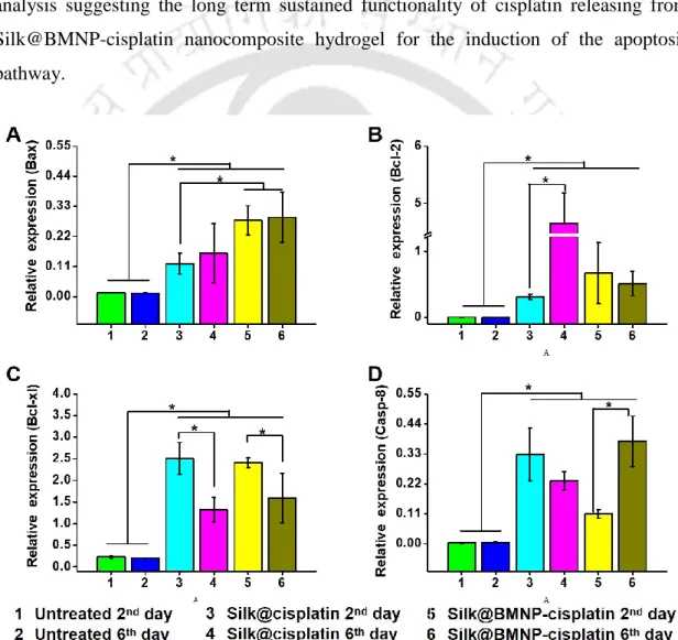 Figure 2.7. Relative gene expression of (A) Bax, (B) Bcl-2, (C) Bcl-xl, and (D) Caspase- Caspase-8  through  real-time  PCR  for  the  samples  collected  on  2 nd   day  and  6 th   day  of  Silk@cisplatin hydrogel and Silk@BMNP-cisplatin nanocomposite hy