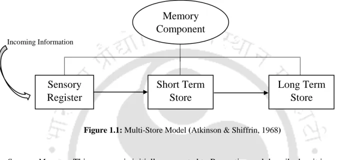 Figure 1.1: Multi-Store Model (Atkinson &amp; Shiffrin, 1968)