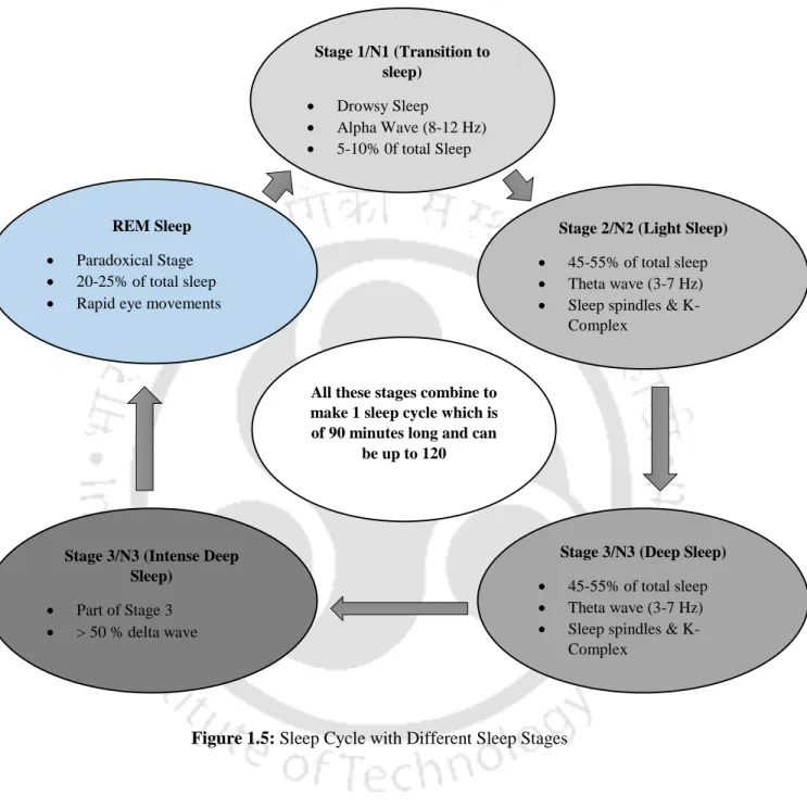 Figure 1.5: Sleep Cycle with Different Sleep Stages