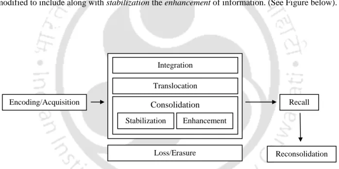 Figure 1.6: Development of Memory during Consolidation Processing (adopted: The Neuroscience of  Sleep by Stickgold and Walker, 2009; page no