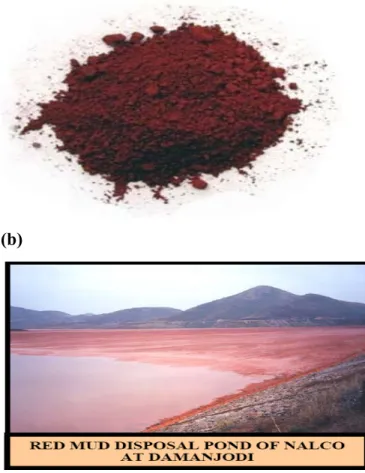 Fig. 2.2: (a) Red mud, (b) Red mud pond of NALCO [50]. 