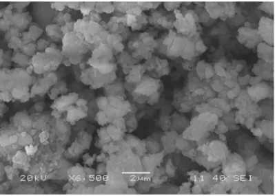 Fig. 4.6. (a) SEM micrograph of RM.  