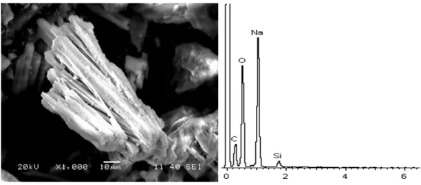 Fig. 4.6. (c) SEM micrograph of 5 h carbonation filtrate with EDX microanalysis  spectrum of cycle-1