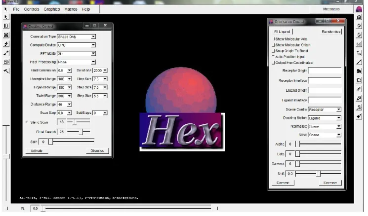Figure 5.5: Main program window of Hex 6.3 docking program 