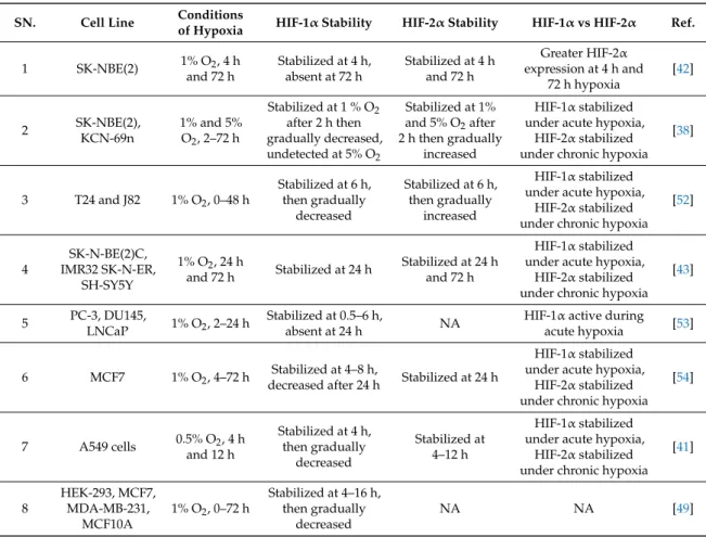 Table 1. HIF-1α stability and activity under acute and chronic hypoxia in in vitro studies.
