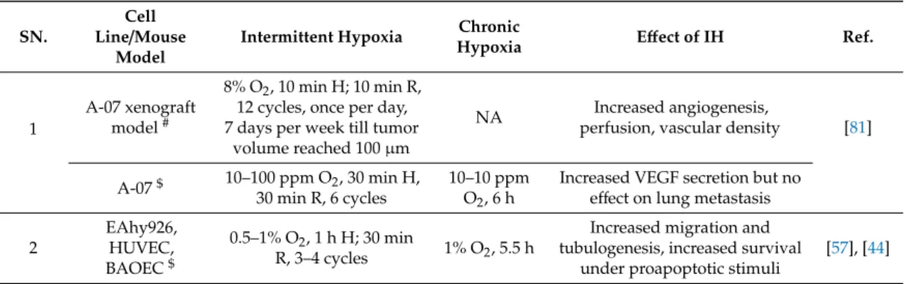 Table 3. Effect of intermittent hypoxia (IH) on angiogenesis.