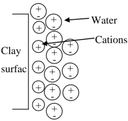 Fig. 2.7 Water adsorption by ion hydration 