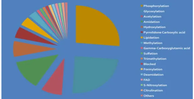 Fig 2. Most common types of PTM 