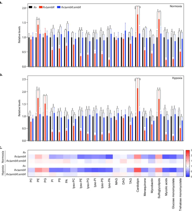 FIG 8 EmbR modulates cell wall lipid composition. (a and b) Relative abundance of the different lipid classes obtained from the total cellular lipids extracted from Rv, Rv D embR, and Rv D embR::embR strains grown under normoxic (a) and hypoxic conditions 