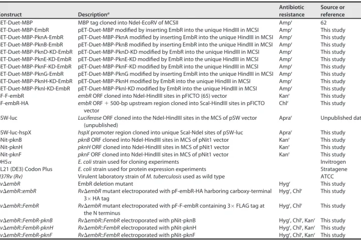 TABLE 1 Constructs generated and strains used in this study