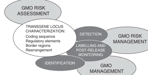 Fig. 4.1. A scheme to show the interaction of molecular characterization of the  transgene locus with risk assessment, development of methods for detection,  identification of the transgene, labelling and post-release monitoring and risk  management.