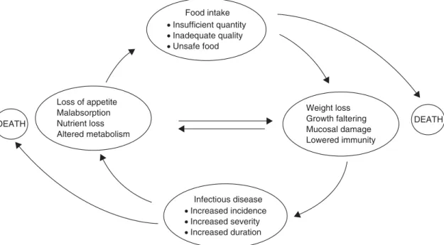 Nutrition, Immunity And Infection