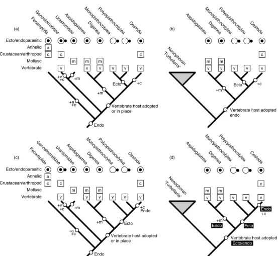 Fig. 1.4. Competing hypotheses on the interrelationships of the Platyhelminthes and the consequences for interpreting the evolution of parasitism