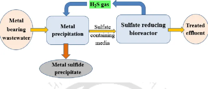 Fig. 2.2 Schematic showing two-stage system for treating heavy metal containing wastewater by  sulfate reduction