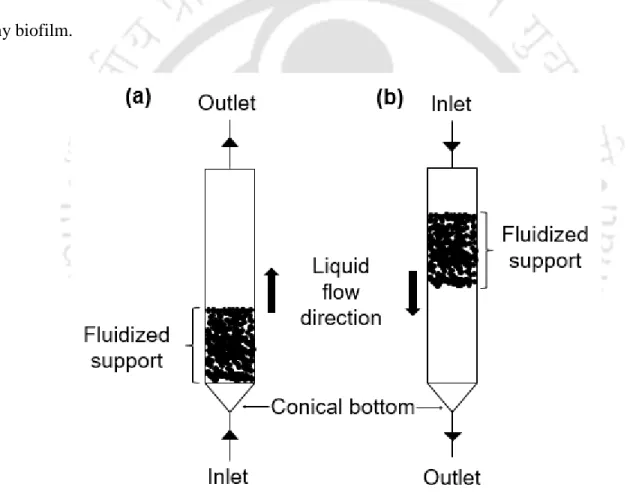 Fig. 2.3 Schematic of (a) up-flow and (b) inversed fluidized bed reactor (Kaksonen and Puhakka,  2007)