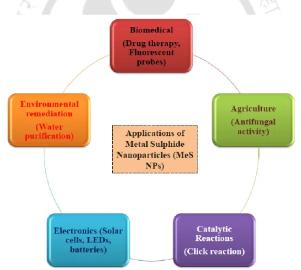 Fig. 2.5 Major application of MeS nanoparticles in various fields.   