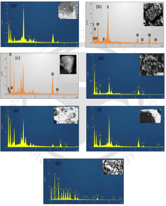 Fig. 3.9 EDX of the different metal bioprecipitates obtained in this study: (a) cadmium, (b) copper,  (c) iron, (d) manganese, (e) nickel, (f) lead, and (g) zinc