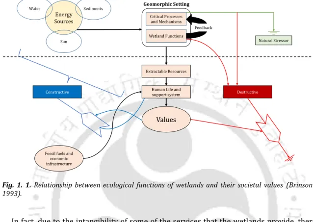 Fig.  1.  1.  Relationship  between  ecological  functions  of  wetlands  and  their  societal  values  (Brinson  1993)