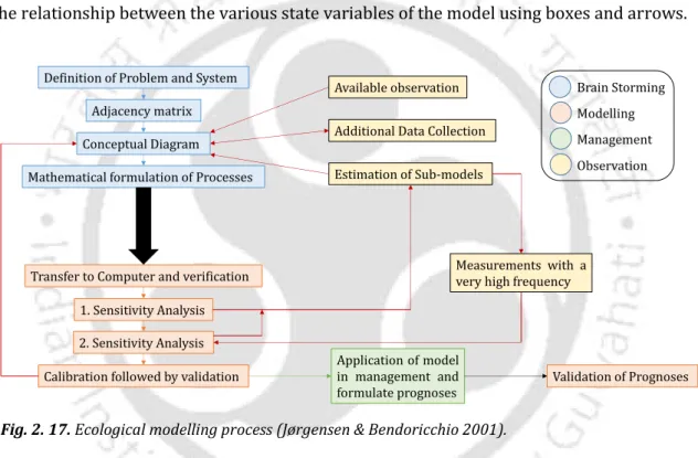 Fig. 2. 17. Ecological modelling process (Jørgensen & Bendoricchio 2001). 