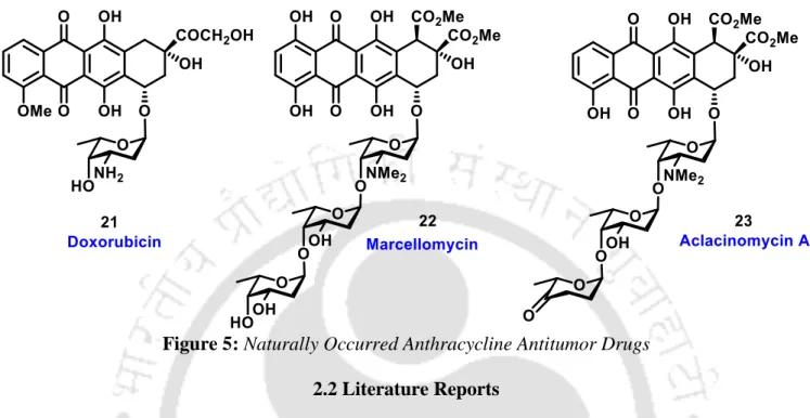 Figure 5: Naturally Occurred Anthracycline Antitumor Drugs  2.2 Literature Reports 