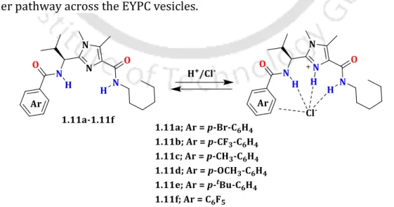 Figure  1.11.  Structure  of  potent  bis(amido)  imidazole-based  synthetic  ion  transporters