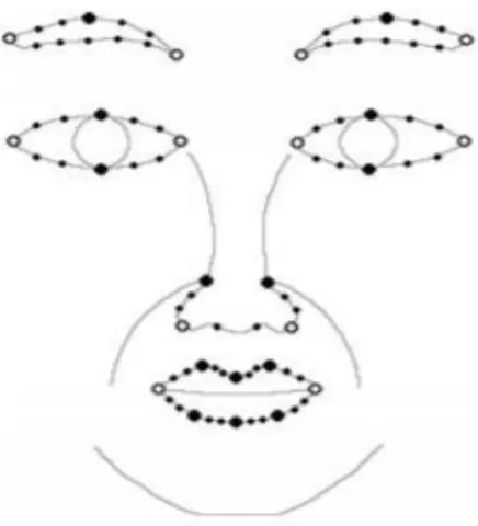 Figure 2.2.2.1  Feature points on the face 