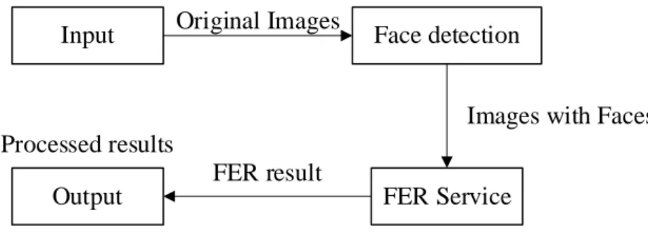Figure 3.3.1.1  FER Implementation with Down Sampling 