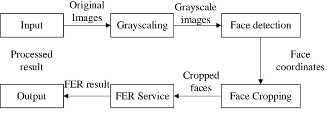 Figure 3.3.2.1  FER Implementation with Image Processing 