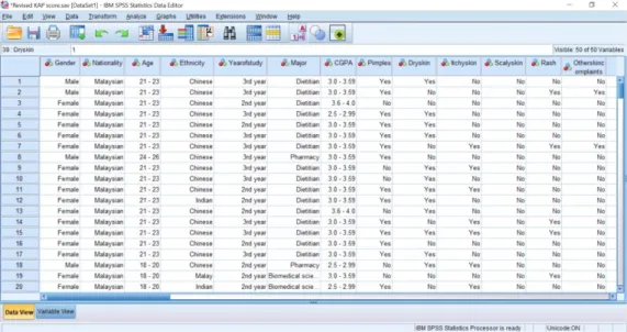Figure 3.1b:  Data View in SPSS version 26.0. 