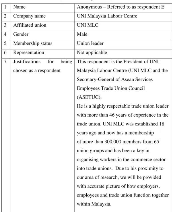 Table 4.5: Respondent E 