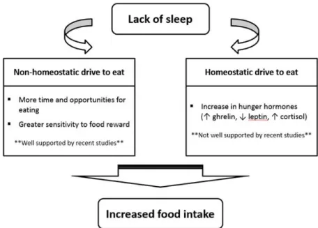 Figure  2.1:  Overview  of  Non-homeostatic  and  Homeostatic  Drive  to  Food  Consumption Caused by Insufficient Sleep