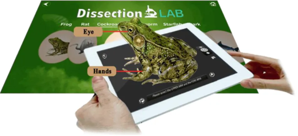 Figure 2-4 Promotional image of Dissection Lab from Navtek Solutions website  The application provides 7 types of species for users to explore which includes  frog, rat, cockroach, earthworm, starfish, shark and pigeon