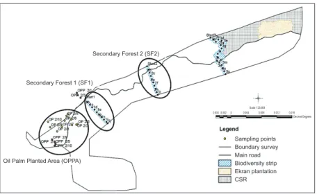 Figure 1. Sampling sites of oil palm planted area (OPPA), undisturbed secondary forest 1  (SF1) and secondary forest 2 (SF2) at Sungai Asap, Sarawak, Malaysia.