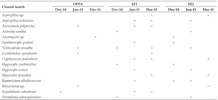 TABLE 3. COMMON SPECIES FOUND AMONG THE THREE STUDY SITES FROM DECEMBER 2010-2011
