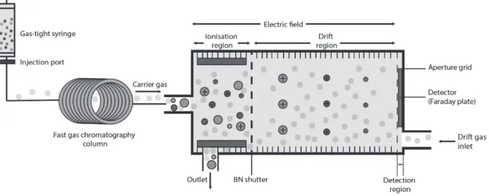 Figure 1. A diagrammatic overview of the working principles of gas chromatography-ion mobility spectrometer (GC-IMS).