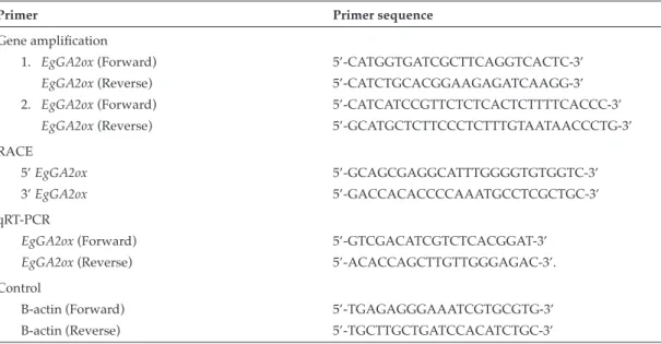 TABLE 1. LIST OF PRIMER SEQUENCES