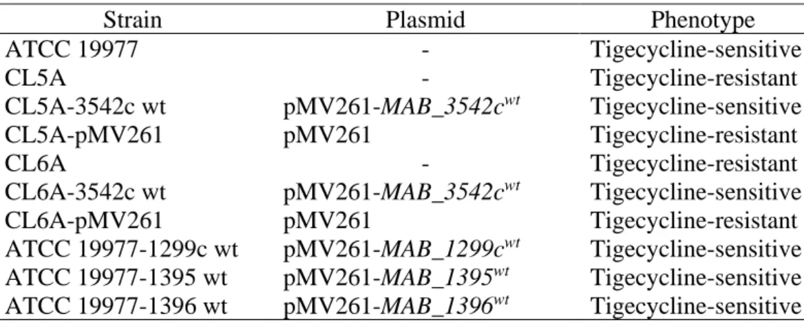 Table 3.1: The M. abscessus strains used in this study 