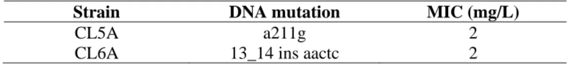 Figure 4.1: The tigecycline-resistant mutants were aligned with ATCC  19977 parental strain to show the rshA mutations