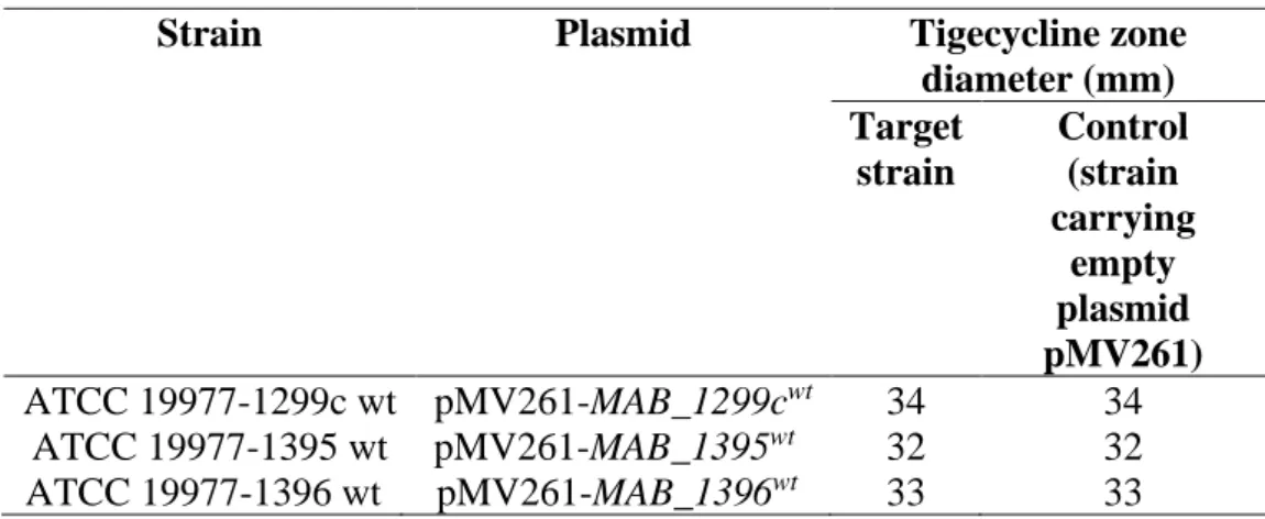 Table 4.5: Tigecycline susceptibility patterns of ATCC 19977 transformed  with recombinant plasmids carrying efflux genes MAB_1299c, MAB_1395  and MAB_1396 (disk diffusion) 