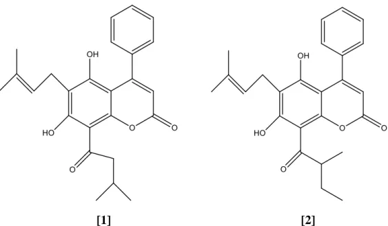 Figure 2.5: Molecular structure of chemical constituents isolated from          Calophyllum brasiliense  