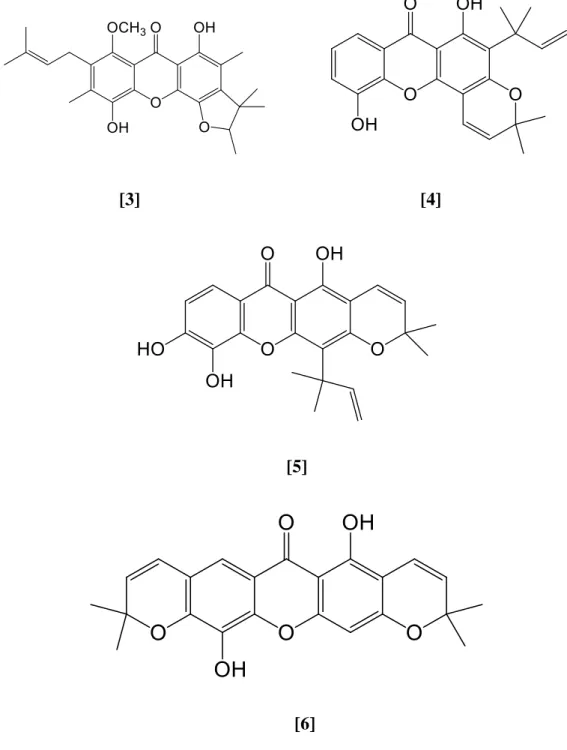 Figure 2.6: Molecular structure of chemical constituents isolated from          Calophyllum inophyllum 
