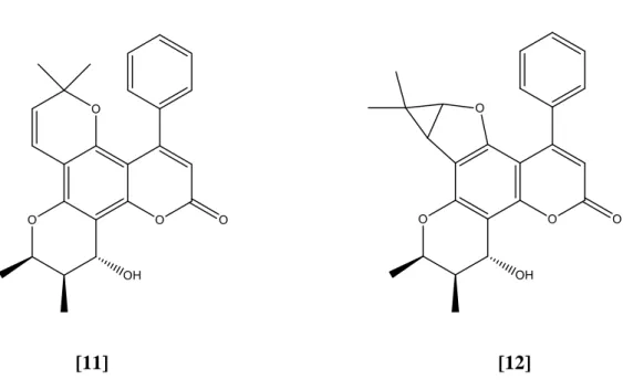 Figure 2.8: Molecular structure of chemical constituents isolated from          Calophyllum symingtonianum 