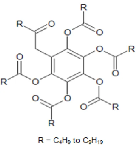 Figure 1.4: Structure of benzene-hexa-n-alkanoates                   (Chandrasekhar et al., 1977) 