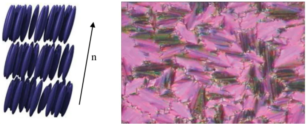 Figure 1.9: Molecular arrangement and broken fan-shaped texture of                 smectic C liquid crystal (Dierking, 2003) 