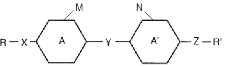 Figure  1.10  shows  that  basic  structure  of  the  most  commonly  occurring  liquid crystal molecules