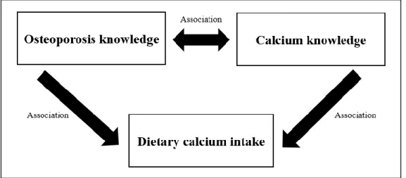 Figure 2.1: Conceptual framework on the association between osteoporosis  knowledge, calcium knowledge and dietary calcium intake