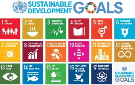 Figure 1.3: 17 Sustainable Development Goals (UN, 2022). 