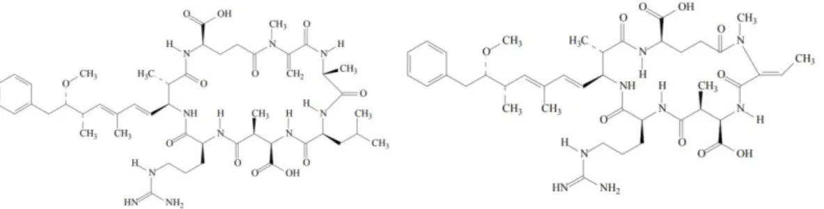 Figure 2.4 Structural formula for Microcystin (C 49 H 74 N 10 O 12 ) and Nodularin  (C 41 H 60 N 8 O 10 ) (World Health Organization, 2010)